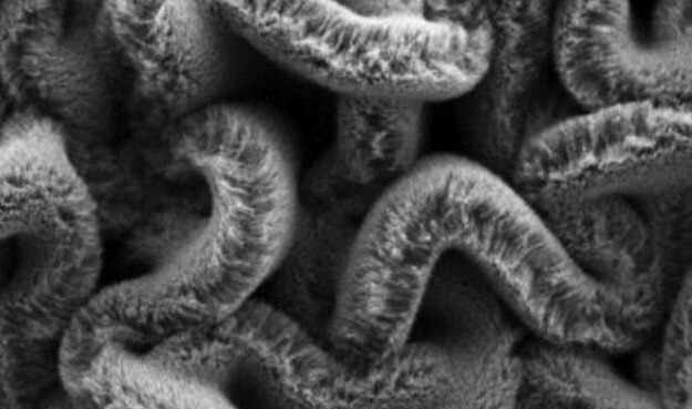 行业新闻：可拉伸的超等电容器，，为柔性可衣着装备铺路